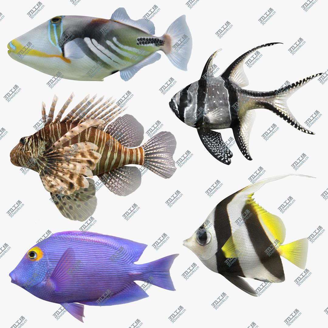images/goods_img/202104021/3D model Saltwater Fish Collection/1.jpg